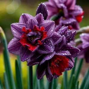 Нарцисс Минт Флер купить по цене от 2000р. в интернет-магазине «Посадика» с доставкой почтой в в Минеральные Водые и по всей России – [изображение №1].